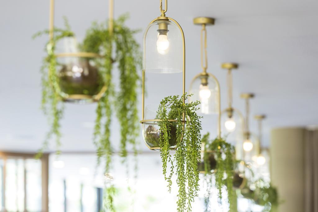 Vibe Hotel Rushcutters Bay Σίδνεϊ Εξωτερικό φωτογραφία